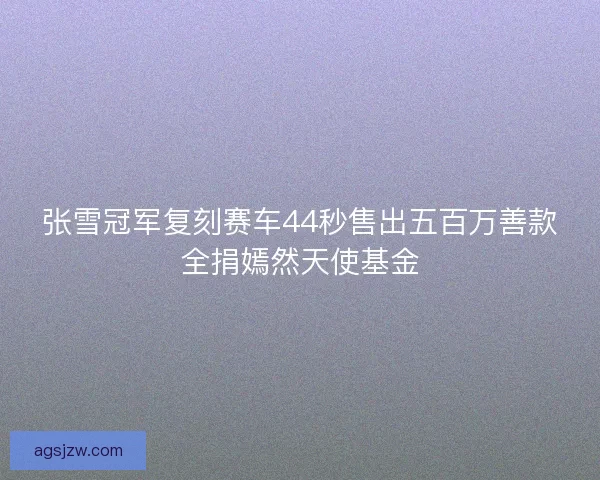 张雪冠军复刻赛车44秒售出五百万善款全捐嫣然天使基金