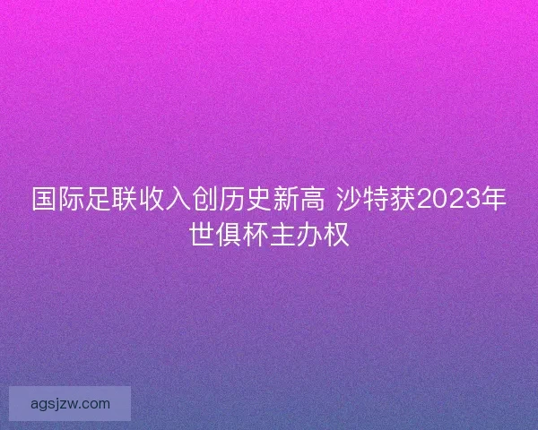 国际足联收入创历史新高 沙特获2023年世俱杯主办权